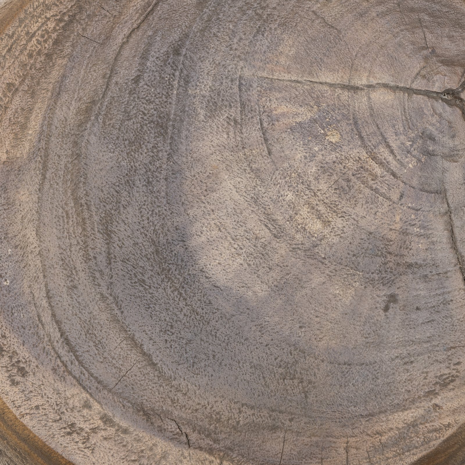 Cala Carbo End Table